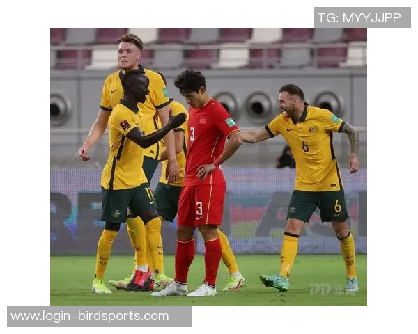 上海排球队灵活性解析与战术创新的深度探讨 上海排球队灵活性解析与战术创新的深度探讨