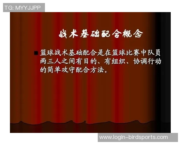 上海排球队快攻战术解析与技术特点深度剖析 上海排球队快攻战术解析与技术特点深度剖析
