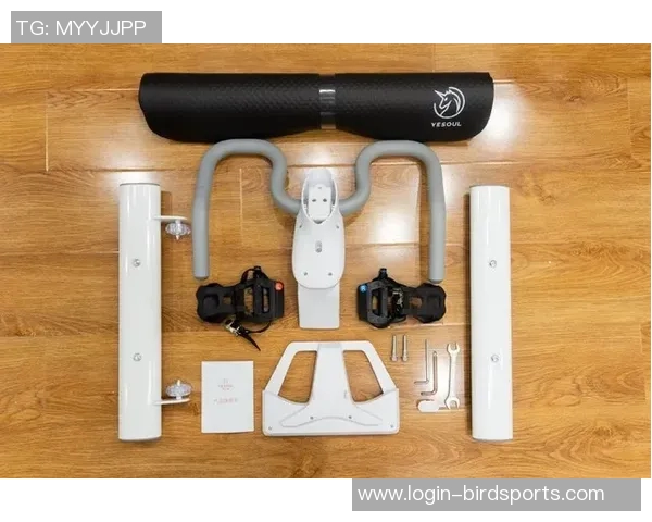 南京排球队实力深度解析聚焦排球运动发展与未来潜力