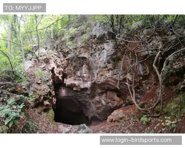 吴秀英的攀岩人生:在高峰之上与自我对话的深度探索实时数据 吴秀英的攀岩人生:在高峰之上与自我对话的深度探索实时数据