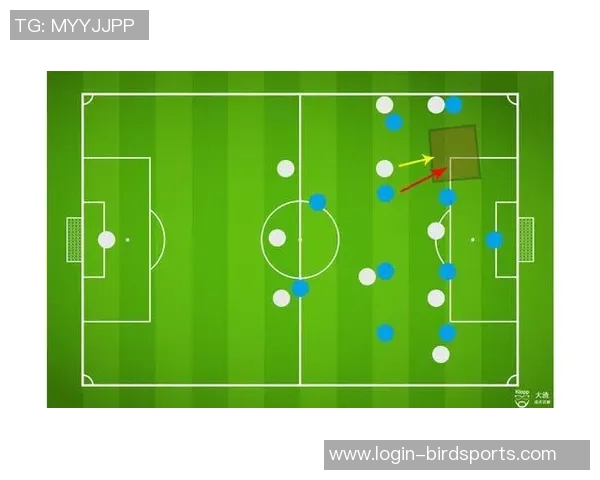 运动数据南京足球队球员个人能力深度对比分析与战术影响探讨