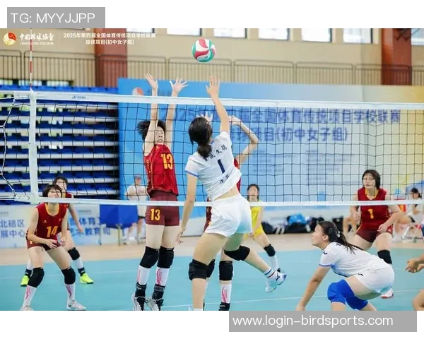 今年运动数据重庆排球队状态飙升夺冠在望最新排球状态TOP10全面解析 今年运动数据重庆排球队状态飙升夺冠在望最新排球状态TOP10全面解析